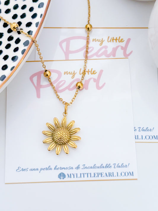 Girasol